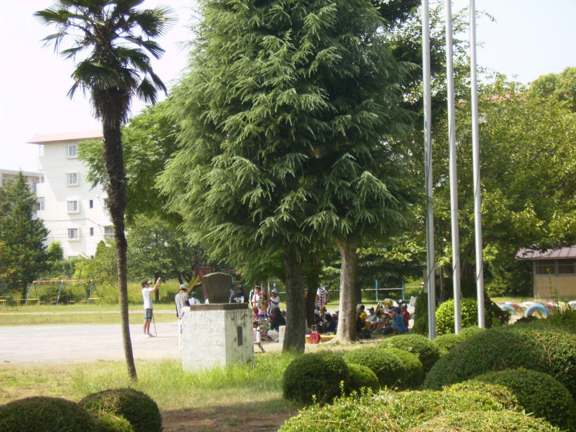 f0208812_10374728.jpg