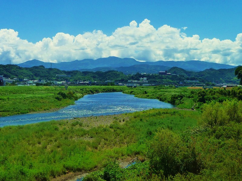 f0182513_957971.jpg