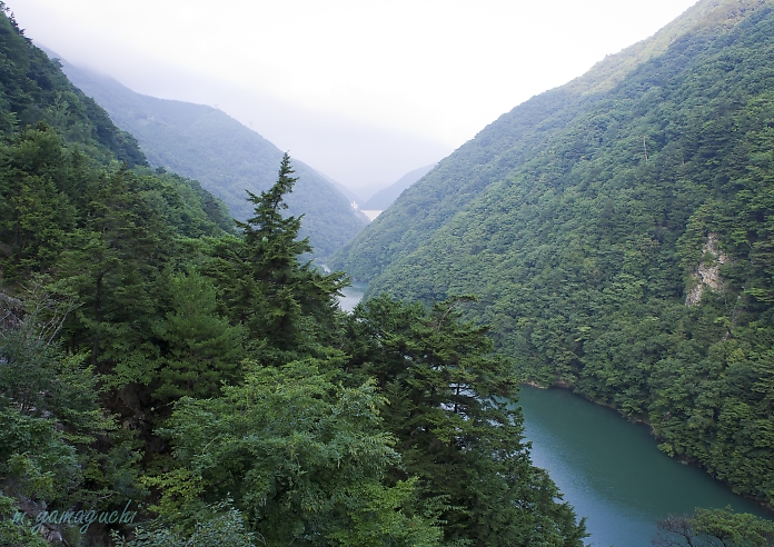 c0196414_1145451.jpg