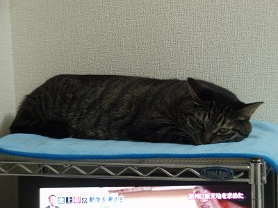 c0145016_16201239.jpg
