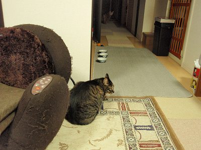 c0145016_719519.jpg