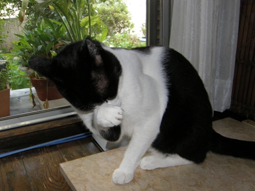 c0158916_1632832.jpg