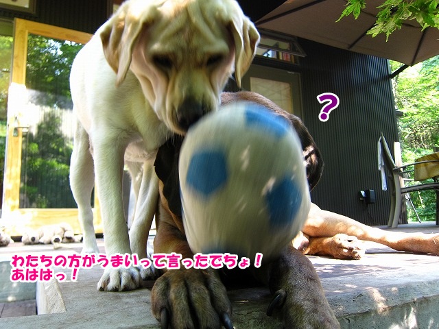 e0192217_1093195.jpg