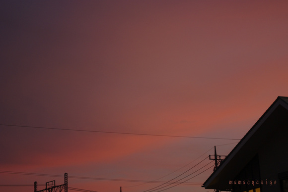 d0158925_248926.jpg