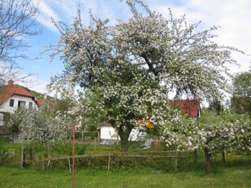 f0229725_23554638.jpg
