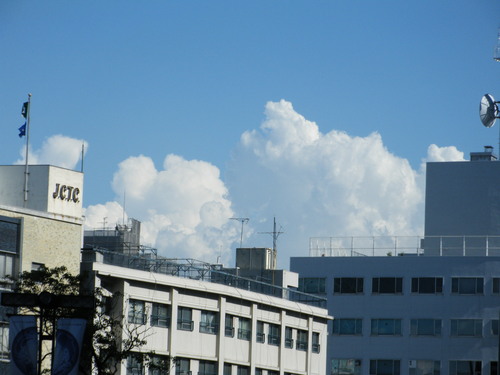 a0105730_2028695.jpg