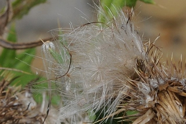 a0017634_1758503.jpg