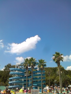 c0100534_1895750.jpg