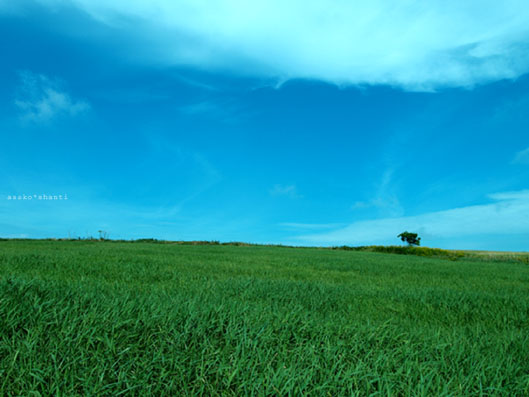 a0094336_15183415.jpg