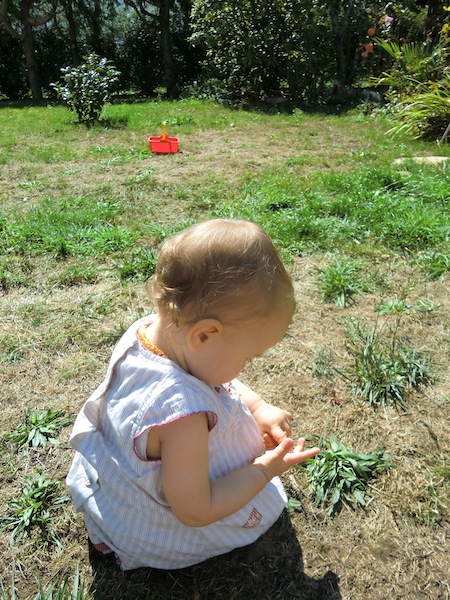 c0170236_20511444.jpg