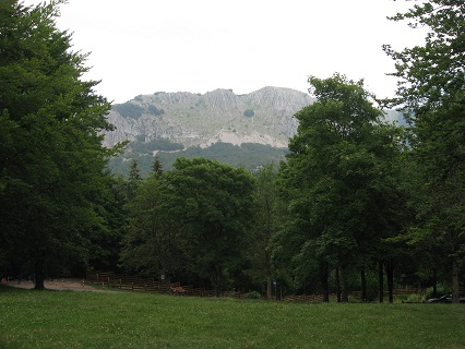 f0234936_056279.jpg