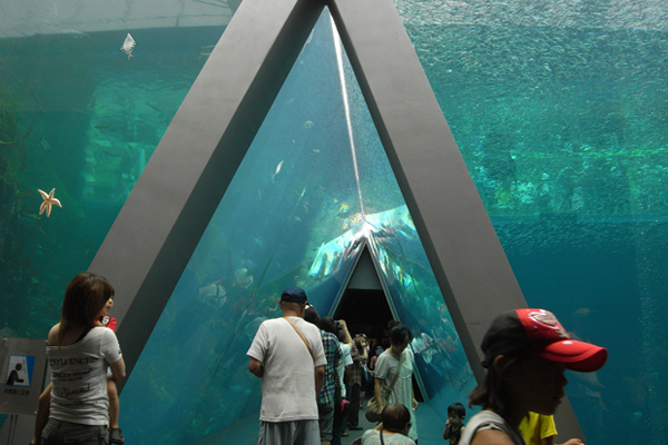 d0152837_250120.jpg