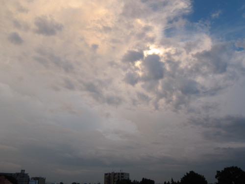 d0156438_8403489.jpg