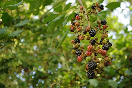 d0092439_029135.jpg