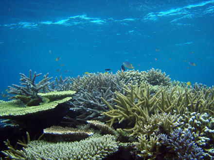f0014842_1731512.jpg