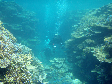 f0014842_1733421.jpg