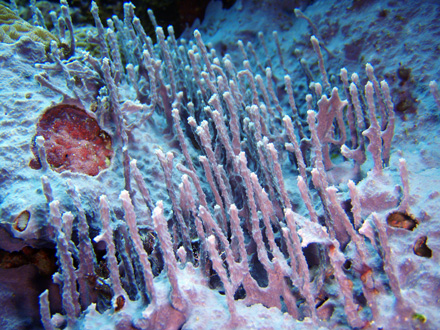 f0014842_17343039.jpg