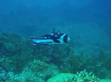 f0014842_1743377.jpg