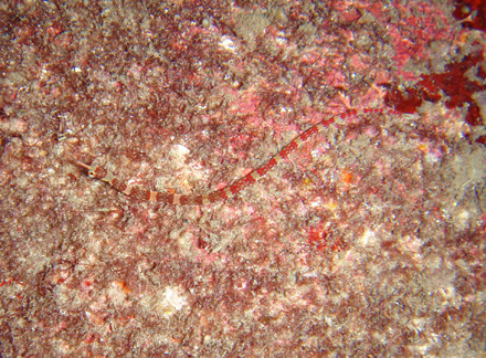 f0014842_177876.jpg