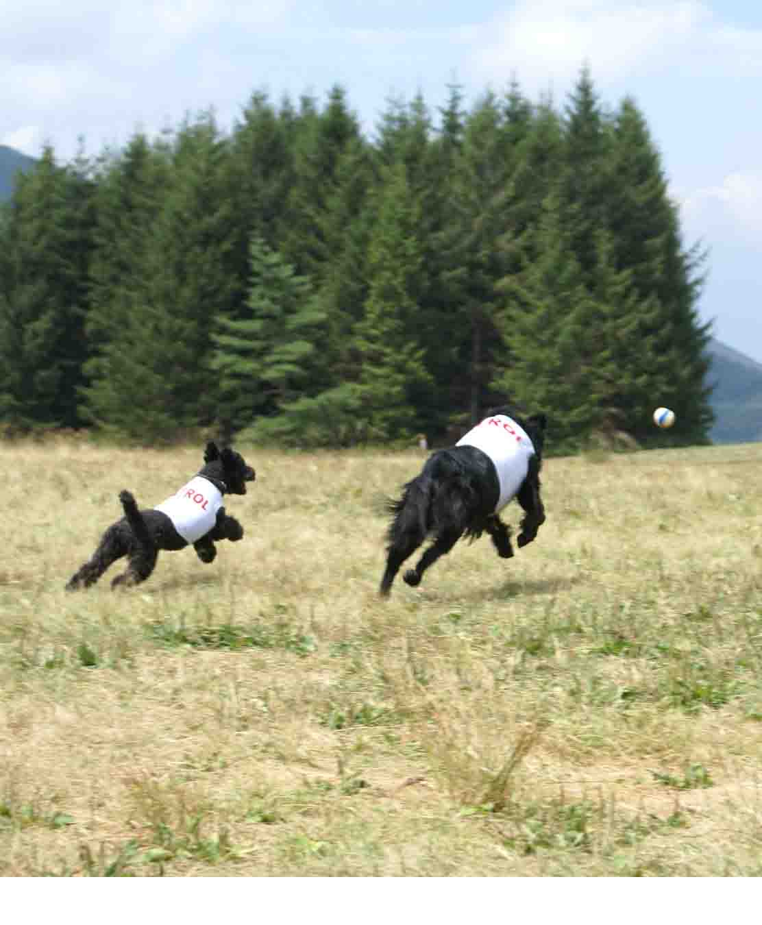 f0018144_16443660.jpg