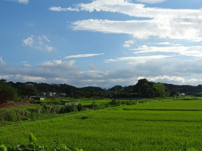 c0156345_15123415.jpg