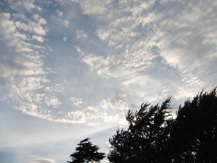c0156345_1513121.jpg