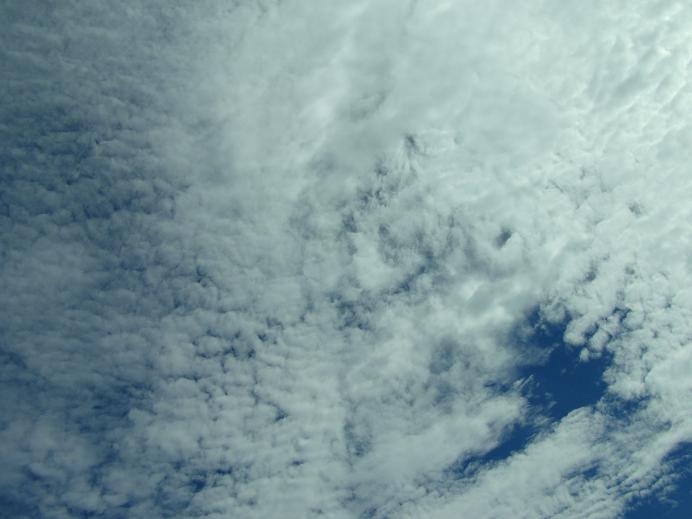 c0156345_1515715.jpg