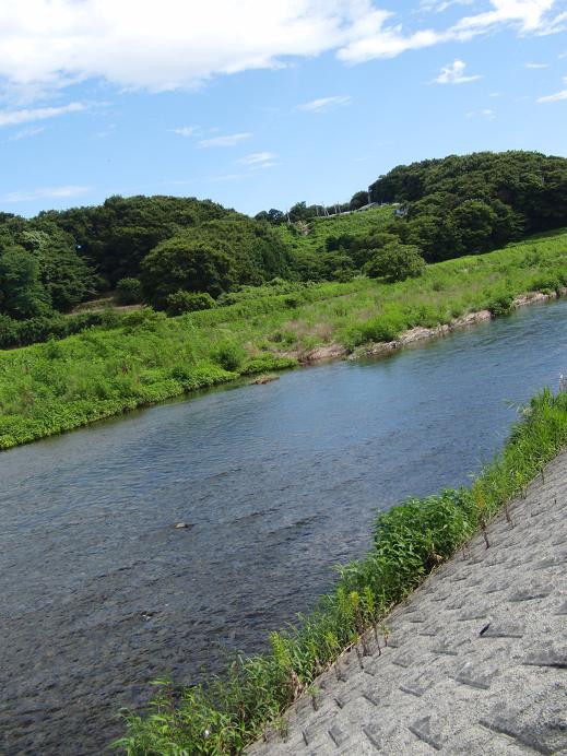 c0156345_1523476.jpg
