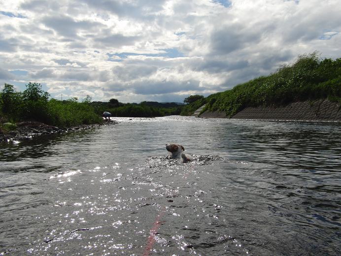 c0156345_1574571.jpg