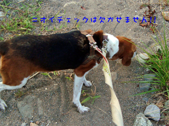 c0086746_11501473.jpg