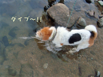 c0086746_1150278.jpg