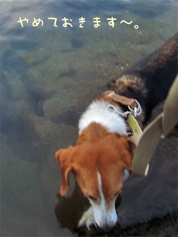 c0086746_11504269.jpg