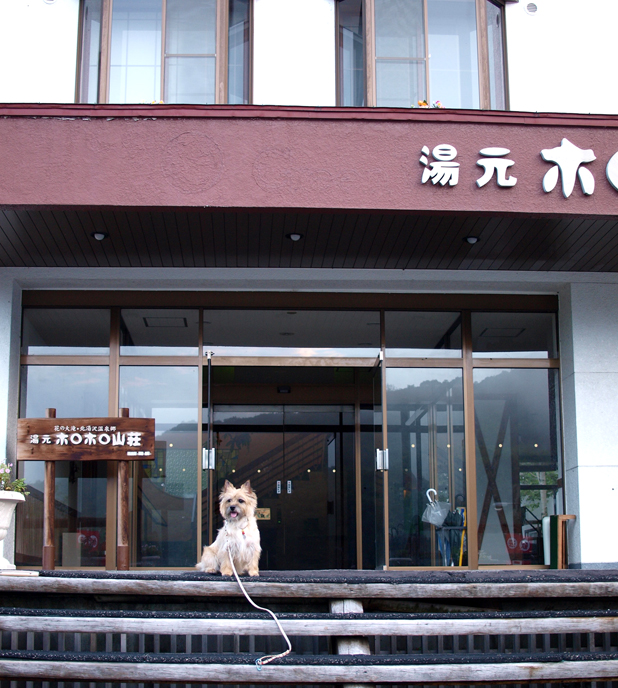 c0147548_21341520.jpg