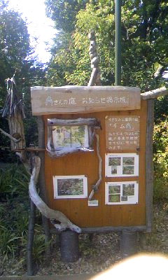 c0032950_1122951.jpg