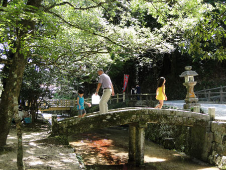 d0163550_1103510.jpg