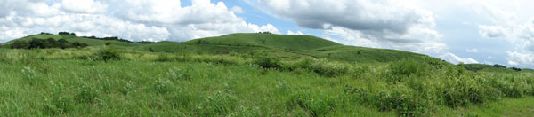 d0163550_147294.jpg