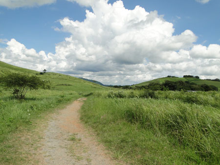 d0163550_159956.jpg