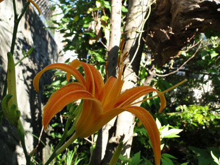 d0163550_982359.jpg