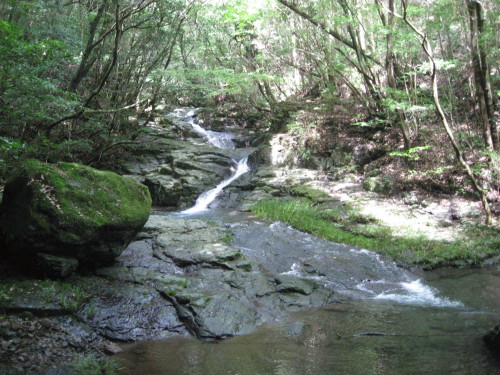 c0179351_20293187.jpg