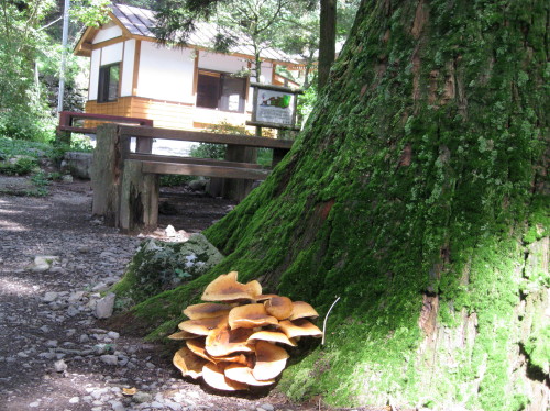 c0179351_20345517.jpg