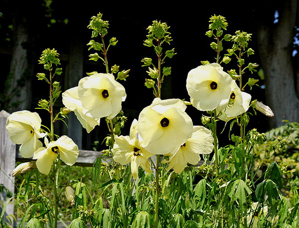 d0091754_1401654.jpg