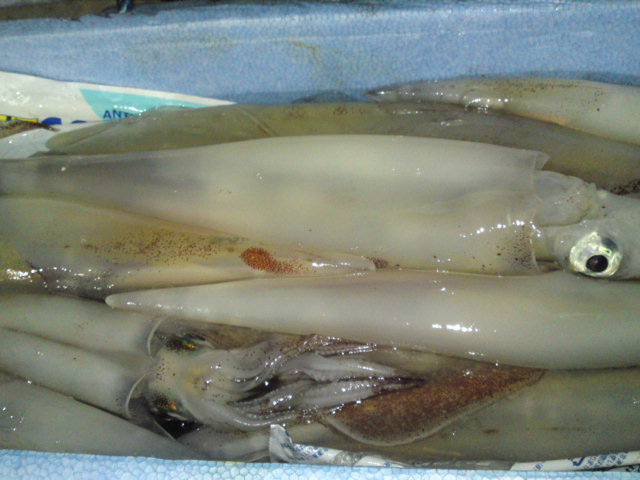 e0133656_2354763.jpg