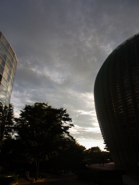 d0005157_1133650.jpg