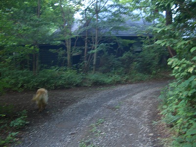 e0131959_1573660.jpg