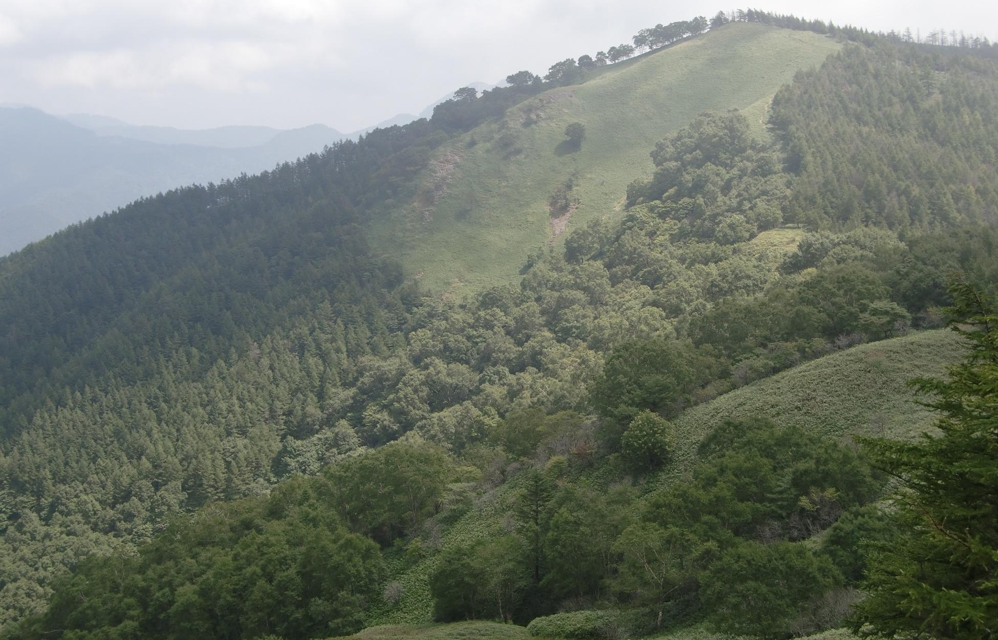c0140260_23344676.jpg