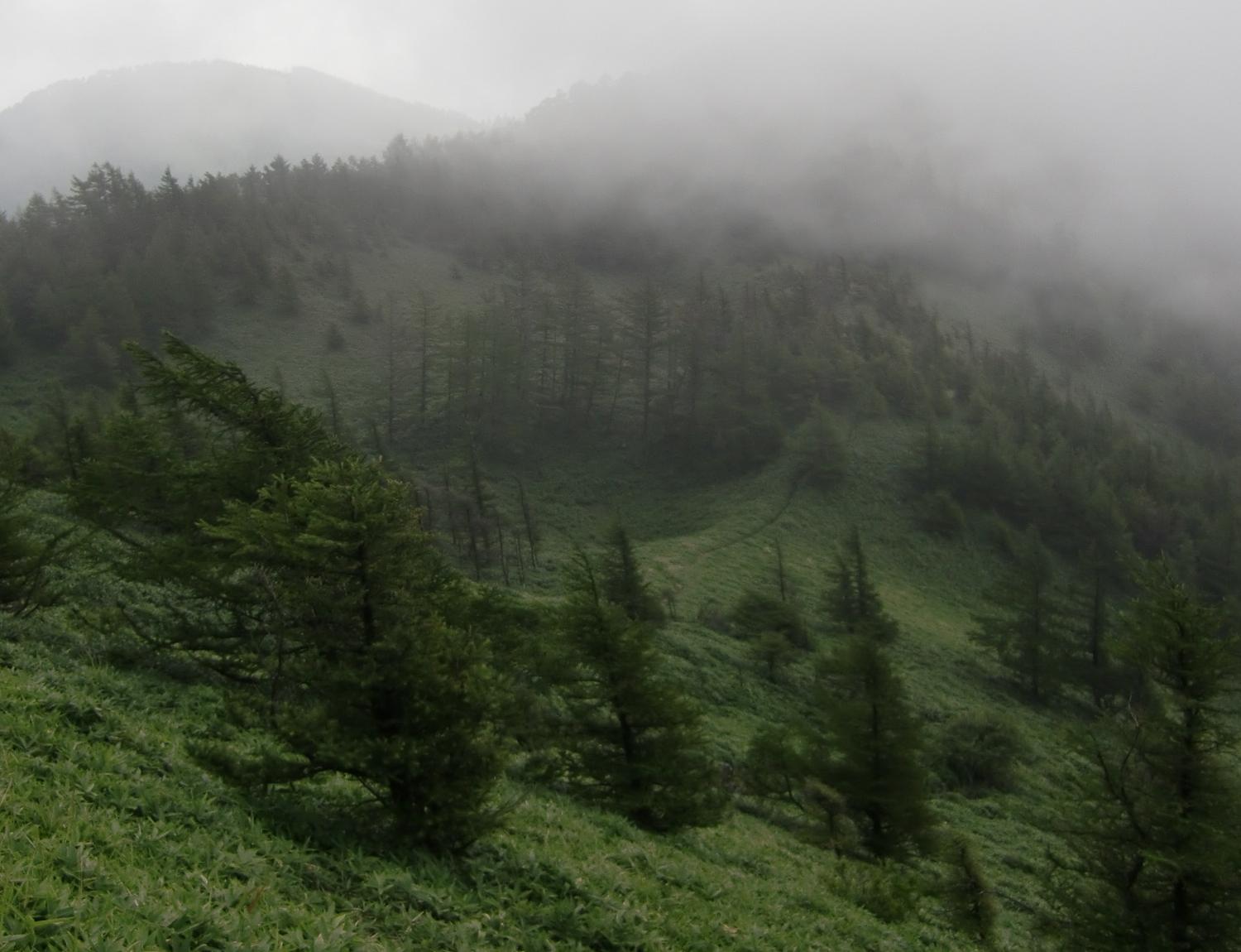 c0140260_23362490.jpg