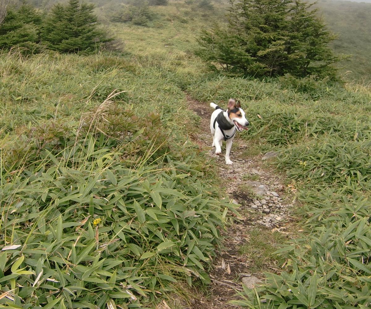 c0140260_2337220.jpg