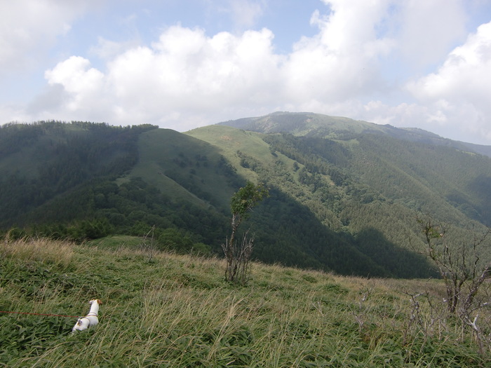 c0140260_23373853.jpg