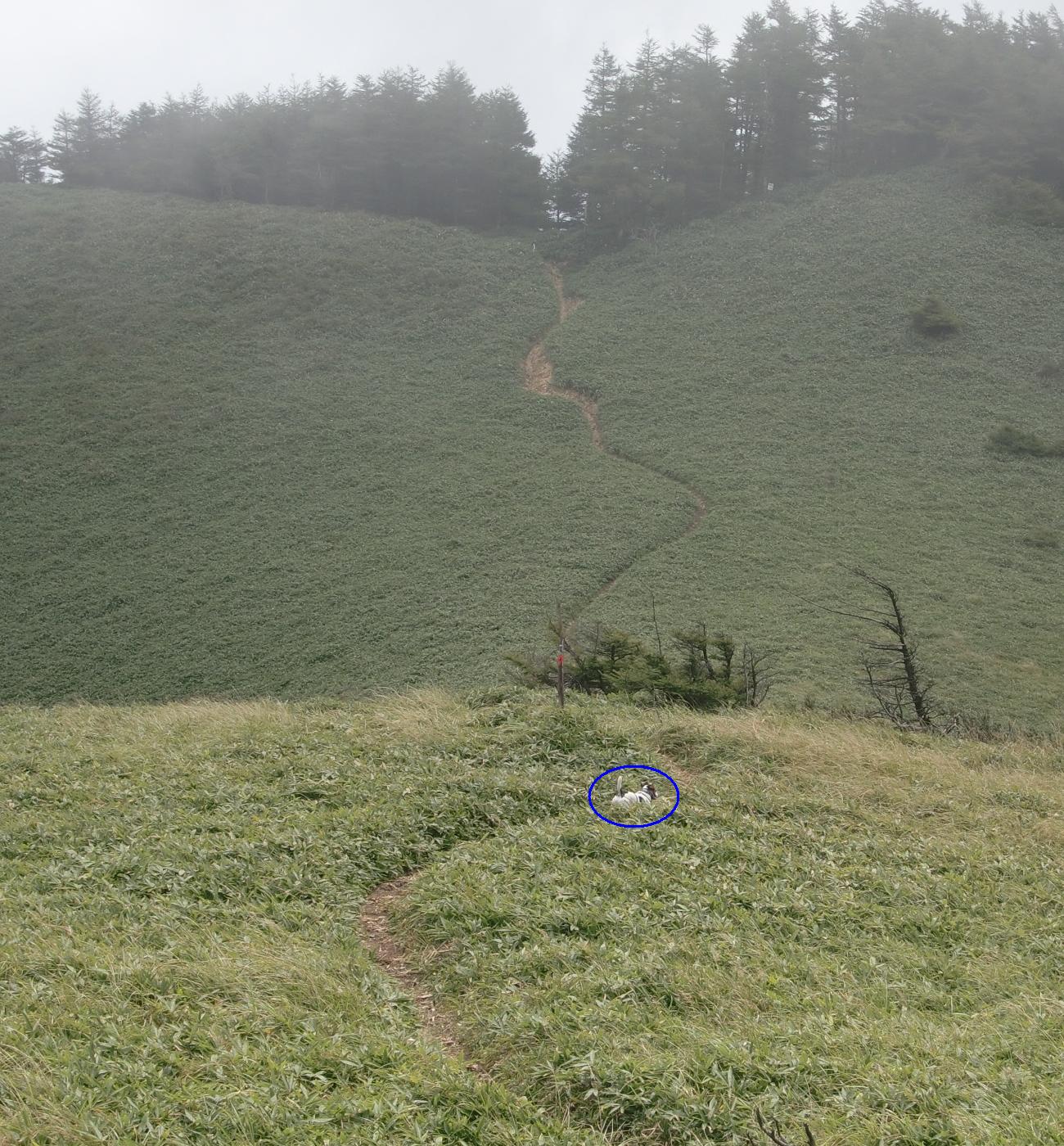 c0140260_23375818.jpg