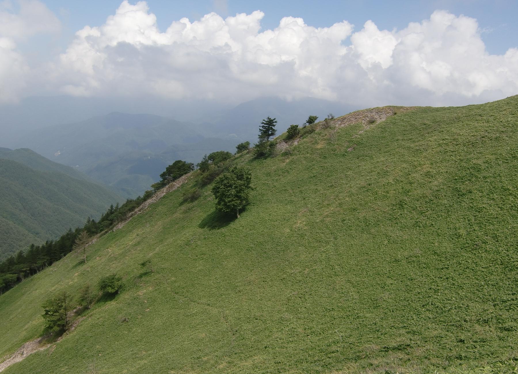 c0140260_23384040.jpg